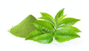 green tea leaf and matcha green tea powde on white background